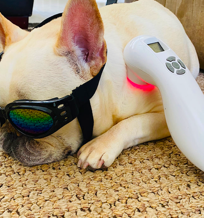 LASER THERAPY (certification course)
