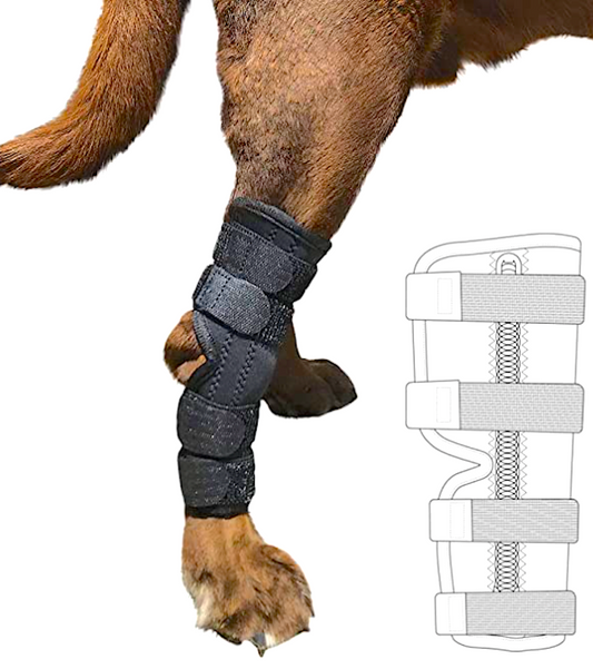 LABRA SUPER SUPPORTIVE DOG HOCK/ANKLE BRACE: with metal springs for added support