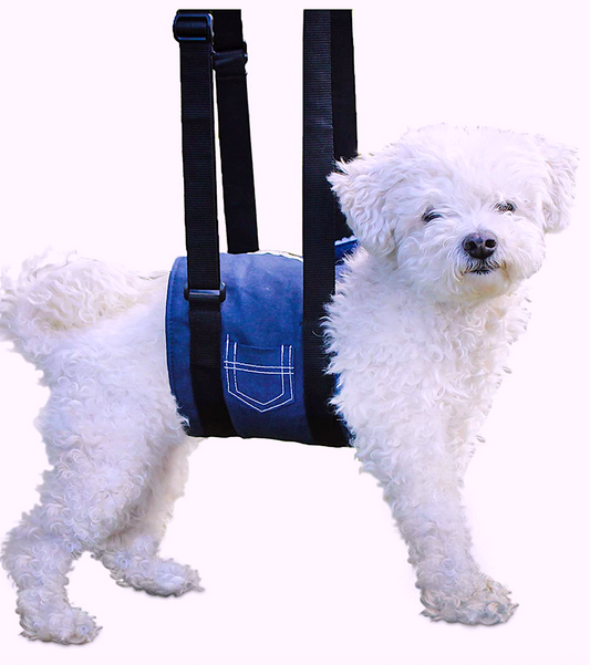 WALKIN' SUPPORT SLING: dog sling that provides full body support