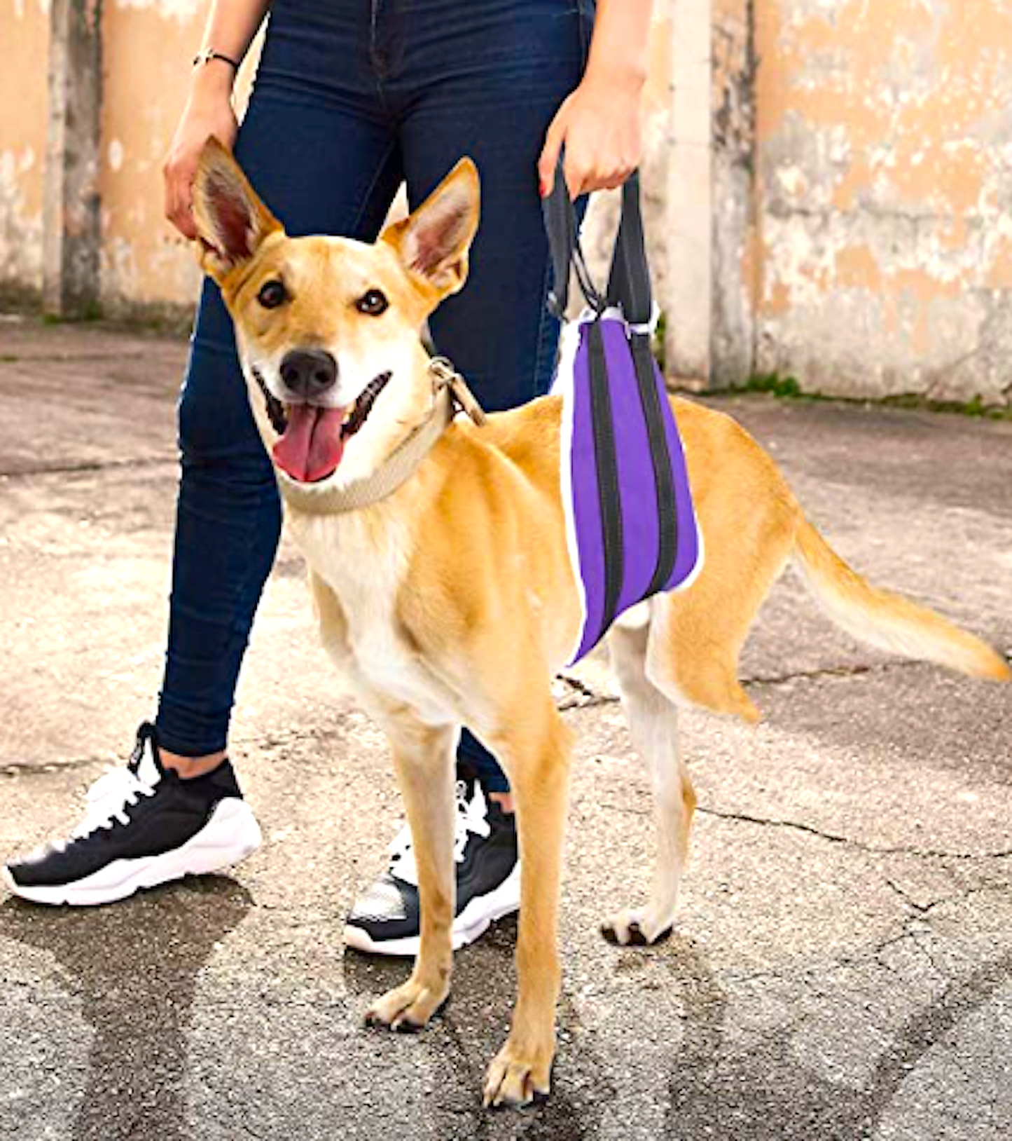 VOOPET DOG SLING: pet lift harness for trunk and hind legs