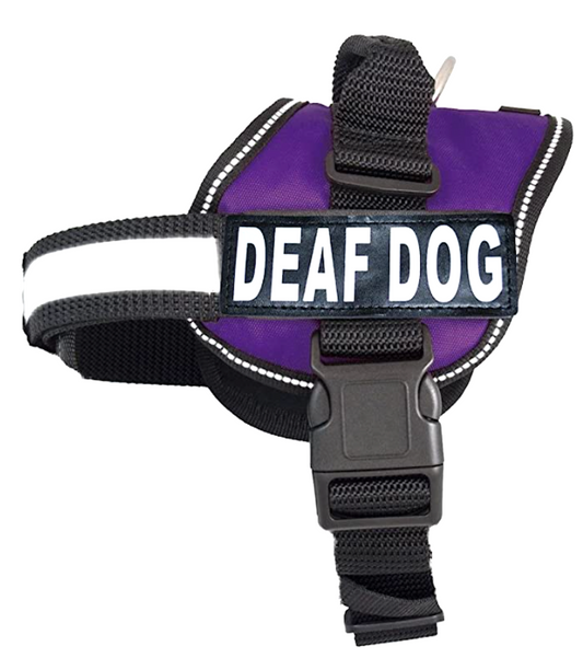HARNESS FOR DEAF DOGS: let others know that your dog needs special consideration