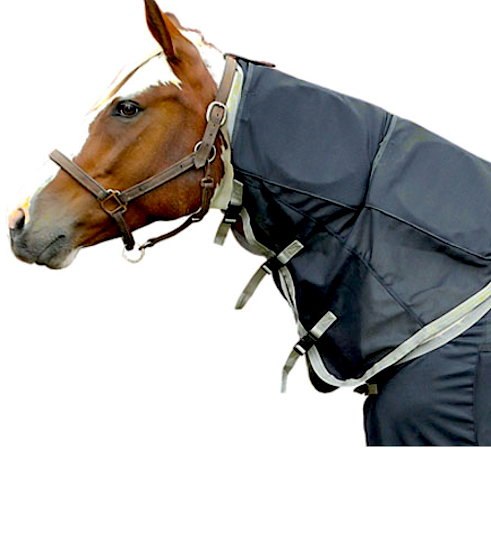 RESPOND SYSTEMS EQUINE BIO-PULSE: PEMF blankets, pads, and wraps for horses - Vital Vet