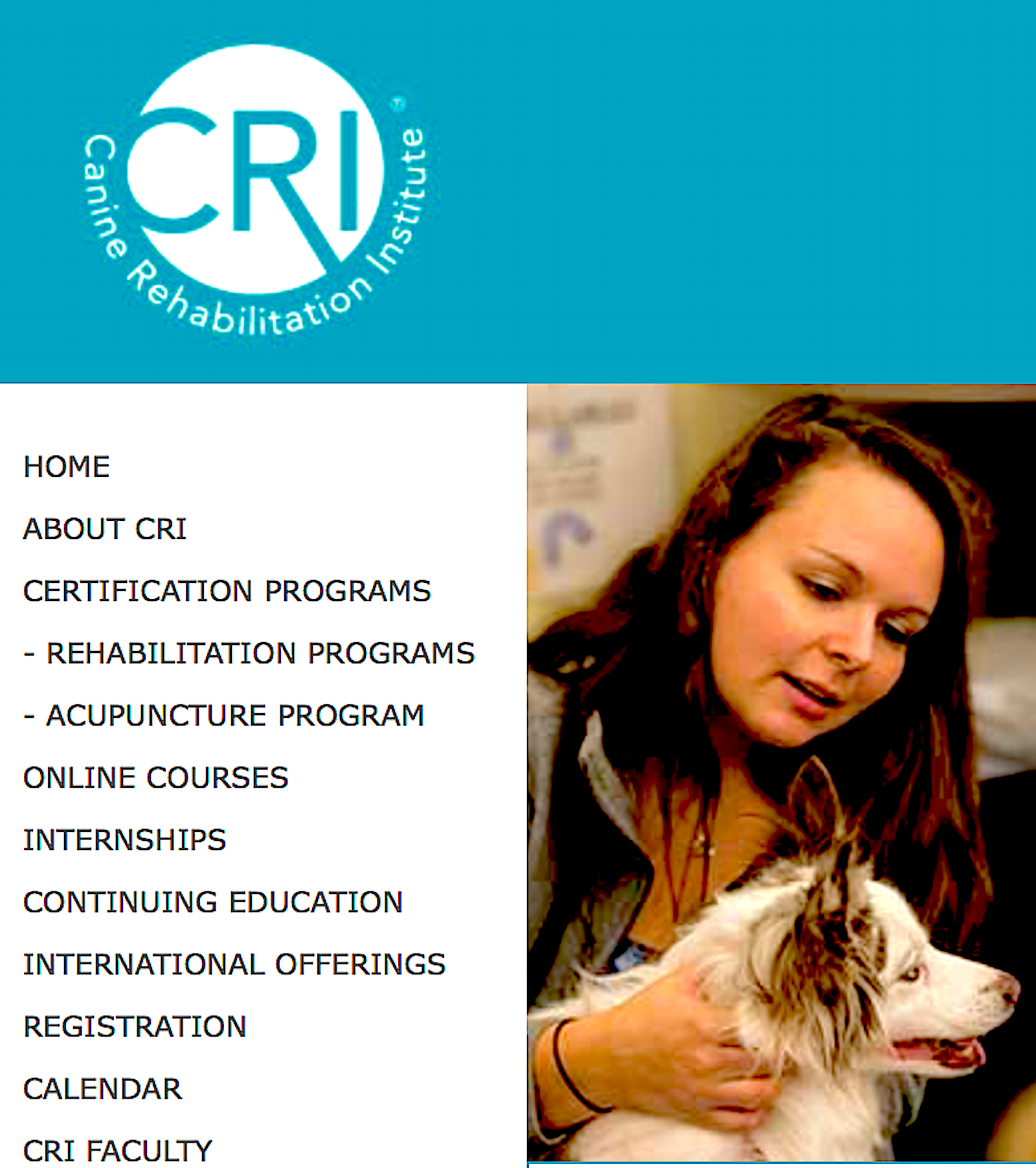 CANINE REHAB INSTITUTE: the premier education in canine rehabilitation - Vital Vet