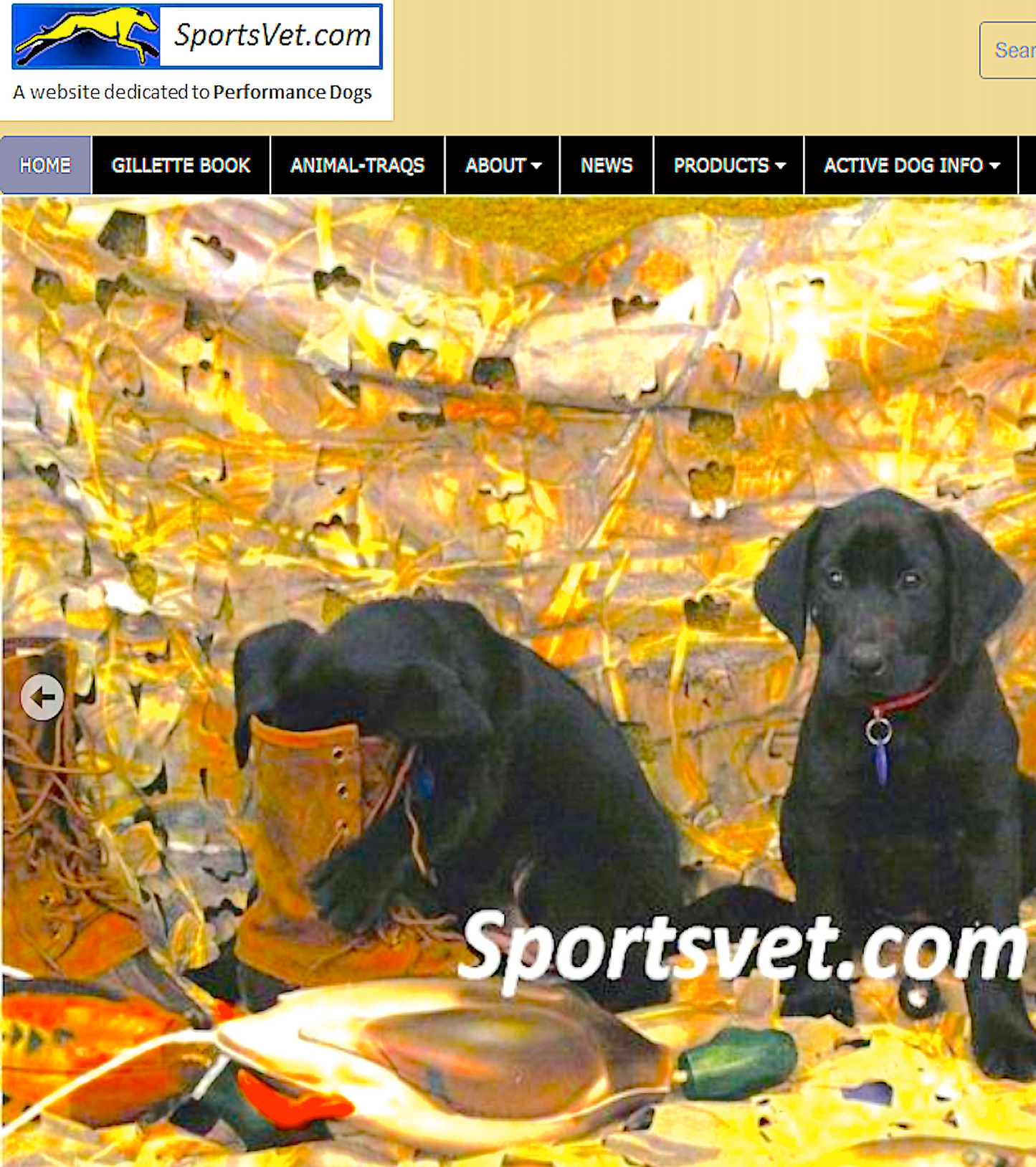 SPORTS VET: website dedicated to athletic and working dogs