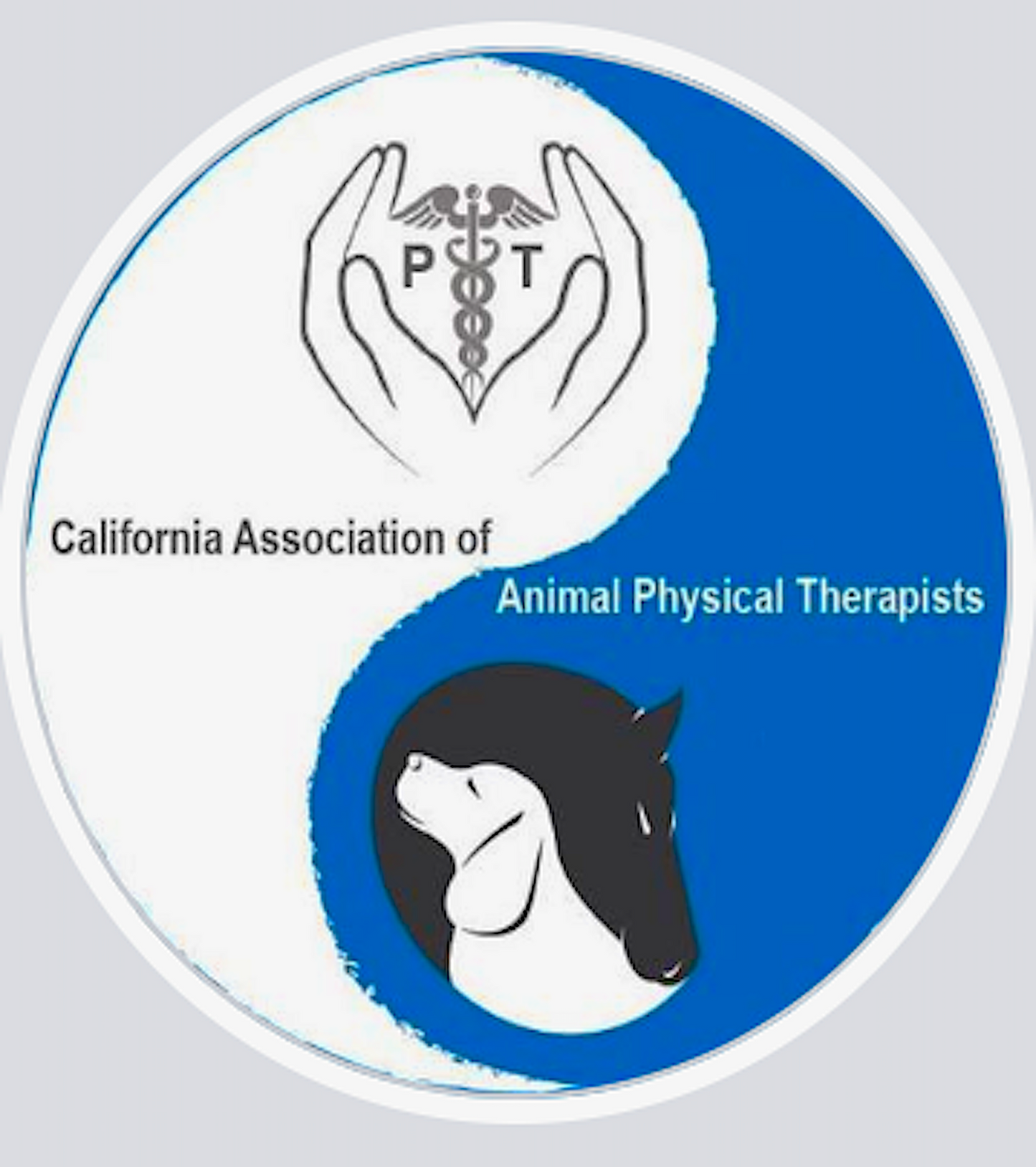 CAAPT: California Association of Animal Physical Therapists