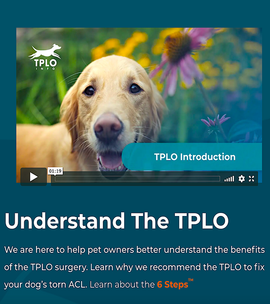TPLO INFO: Helping pet owners understand TPLO surgery