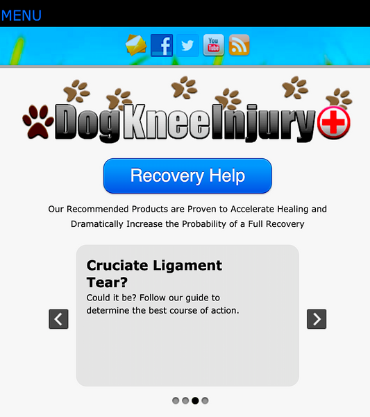 DOG KNEE INJURY - information, procedures, treatments, and products for dogs with knee injuries