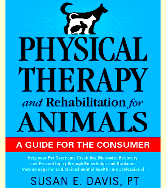 PET PARENT GUIDES FOR AT HOME PHYSICAL THERAPY - Vital Vet