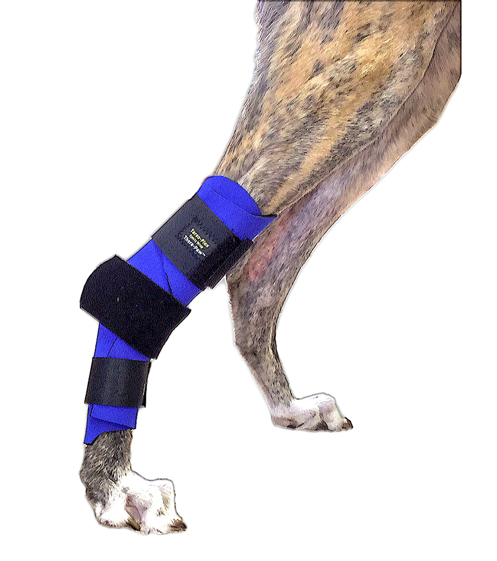 THERAPAW TARSO-FLEX SPORTS WRAP: light, flexible support for the back leg/ankle - Vital Vet
