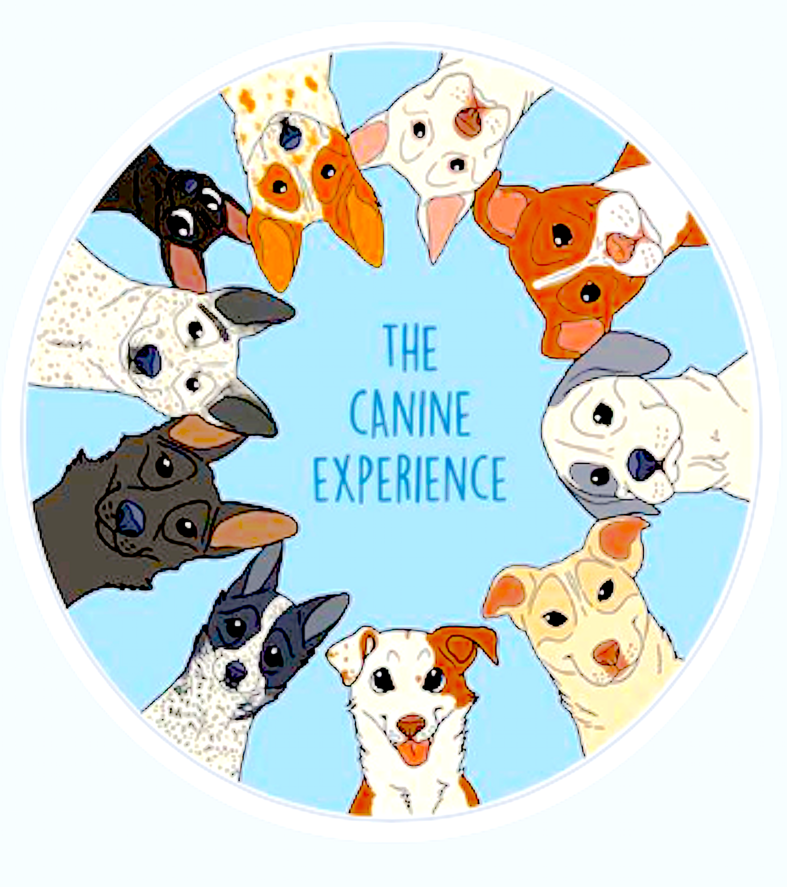 THE CANINE EXPERIENCE: dog trainers with awesome dogs and adventures - Vital Vet