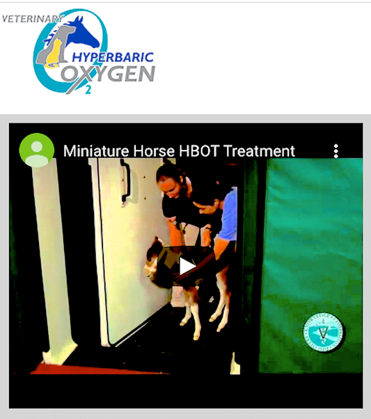 VETERINARY HYPERBARIC OXYGEN2: manufacturer for horses and companion animals