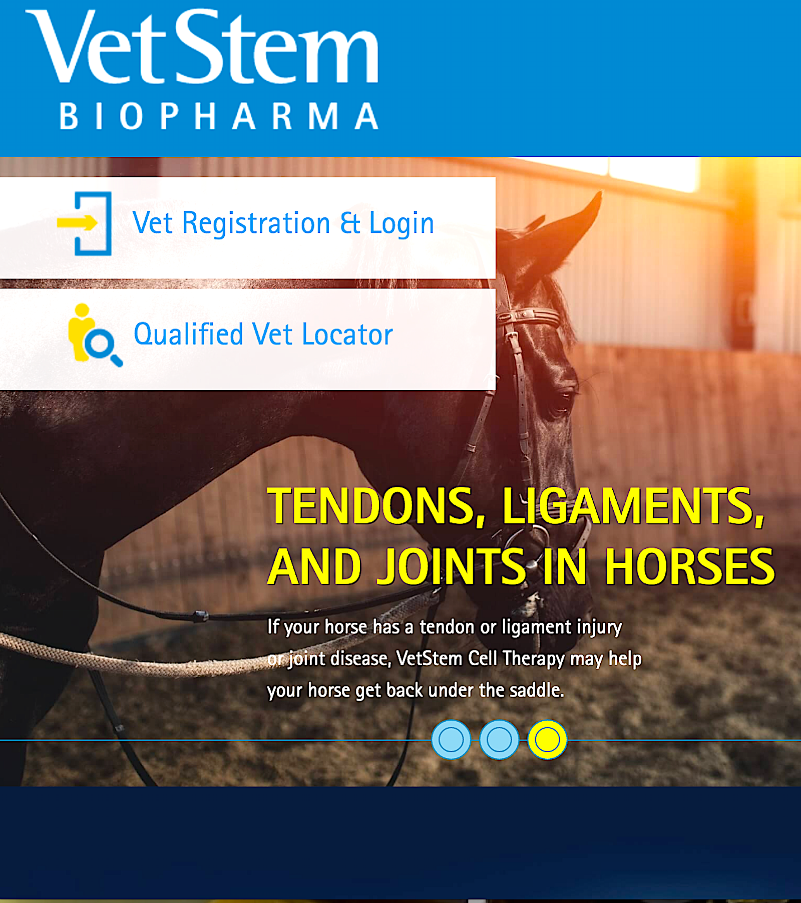 VETSTEM BIOPHARMA: leading the way in regenerative veterinary medicine - Vital Vet