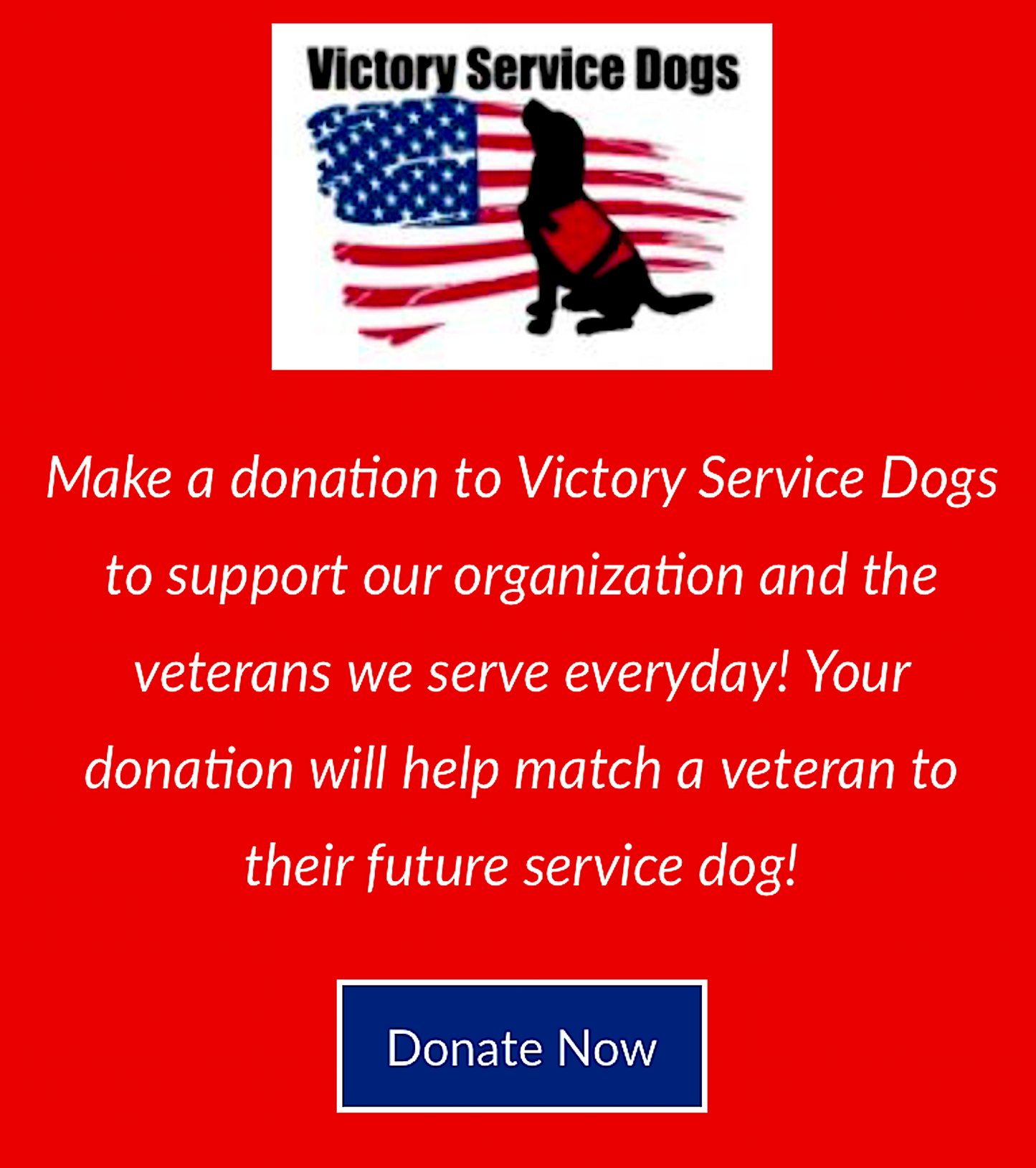 VICTORY SERVICE DOGS: helping veterans with loving service companions - Vital Vet