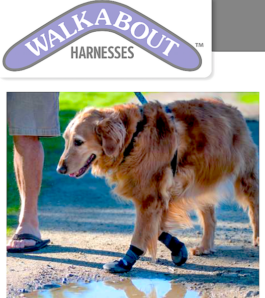 WALKABOOTS: help reduce toe scrapes and protect injured paws - Vital Vet