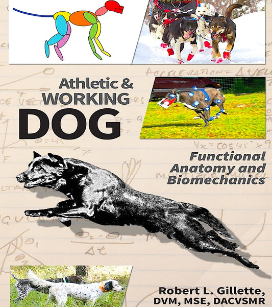 Athletic & Working Dog: Functional Anatomy & Biomechanics by Dr. Robert Gillette, DVM