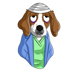 Types of Cancer in Dogs | Innovet Pet