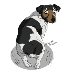 Degenerative Myelopathy in Dogs and How CBD Helps