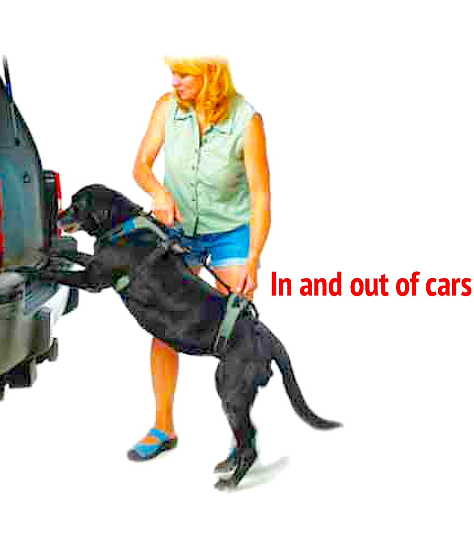 HELP 'EM UP HARNESS fullbody mobility harness by