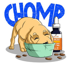 Benefits of CBD | Innovet Pet