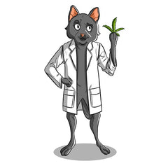 CBD for Cats and Dogs | Innovet Pet