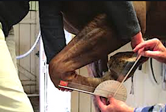 Y. LILJEBRINK* and A. BERGH