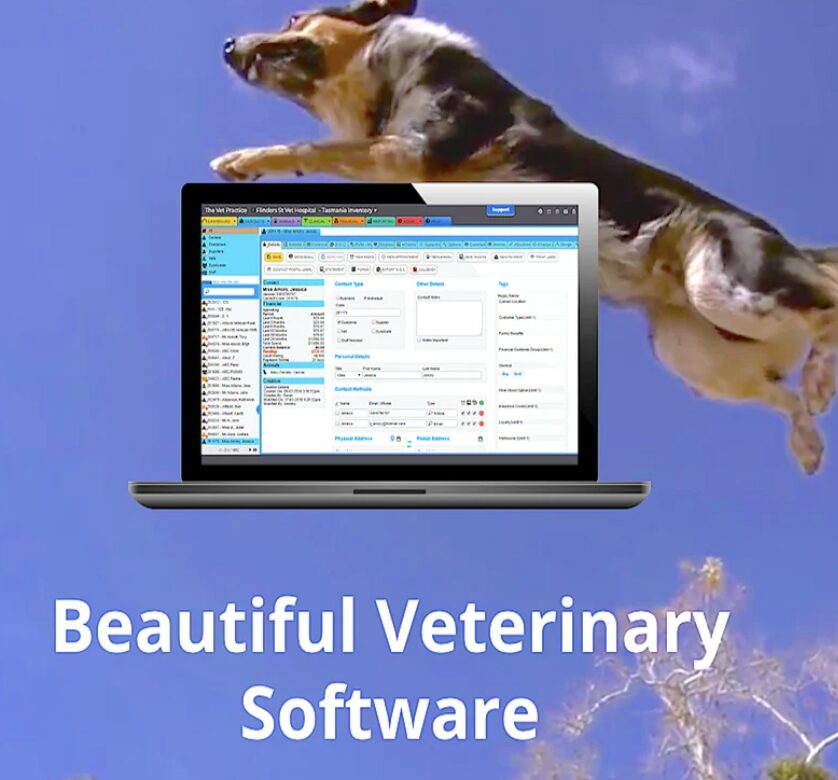 Veterinary Database Software Management software - Vital Vet