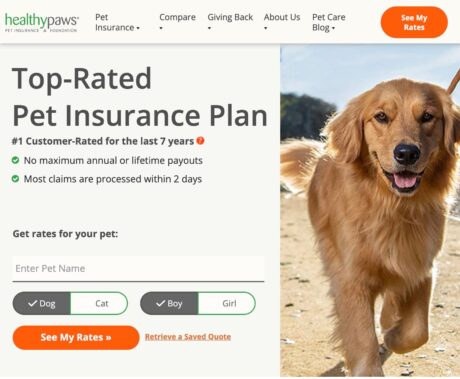 HEALTHY PAWS: top-rated pet insurance plan