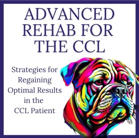 Advanced Rehab Strategies for Regaining Optimal Results in the CCL Patient