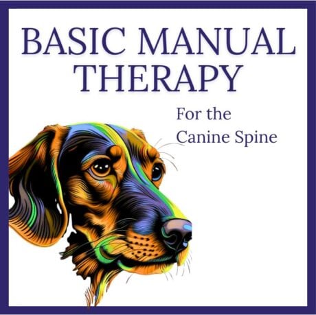 Basic Manual Therapy for the Canine Spine