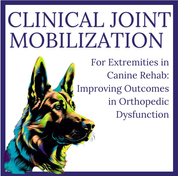 Clinical Joint Mobilization for Extremities in Canine Rehab