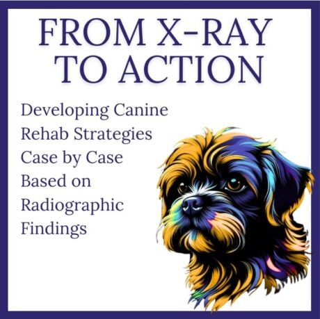 From X-Ray to Action: Rehab Strategies Based on Radiographic Findings