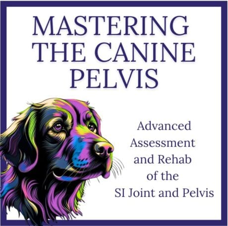 Advanced Assessment and Rehab of the SI Joint and Pelvis