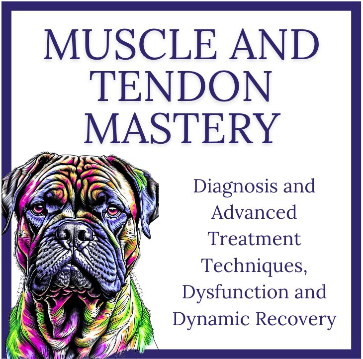Muscle and Tendon Mastery