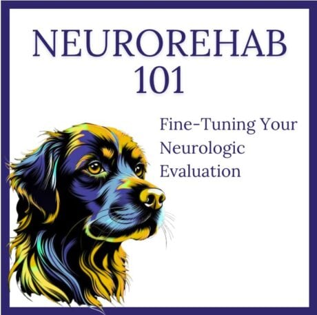 Neurorehab 101: Fine-Tuning Your Neurologic Evaluation