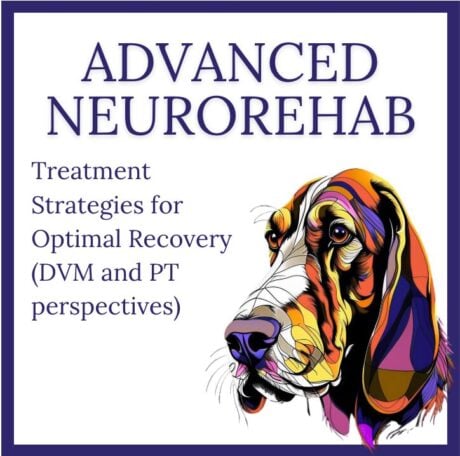 Neurorehab: Treatment Strategies for Optimal Recovery