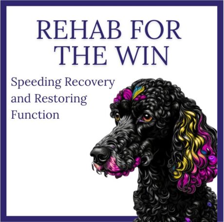 Rehab for the Win: Speeding Recovery, Restoring Function