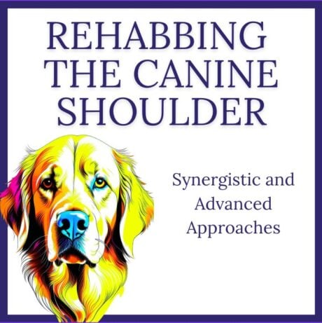 Rehabilitating the Canine Shoulder: Synergistic and Advanced Approaches