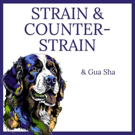 Strain Counterstrain and Gua Sha