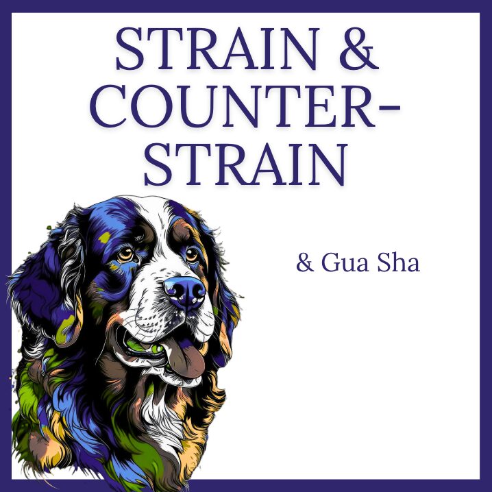 Strain Counterstrain and Gua Sha