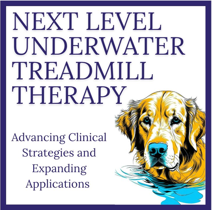 Taking Underwater Treadmill Therapy to the Next Level