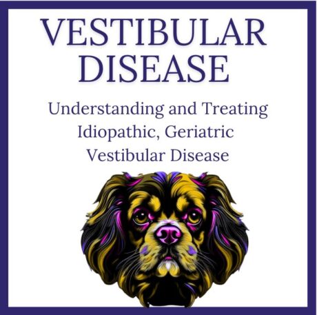 Understanding and Treating Idiopathic Geriatric Vestibular Disease