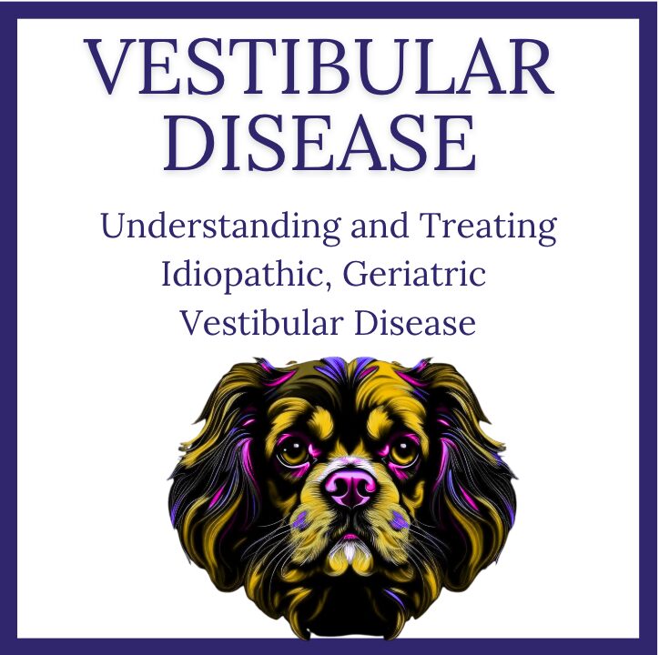Understanding and Treating Idiopathic Geriatric Vestibular Disease