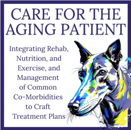 Comprehensive Care for the Aging Patient: Rehab, Nutrition, and Exercise