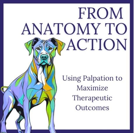 From Anatomy to Action: Using Palpation to Maximize Therapeutic Outcomes