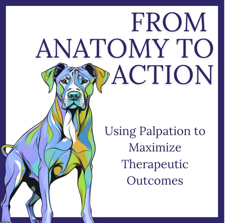 From Anatomy to Action