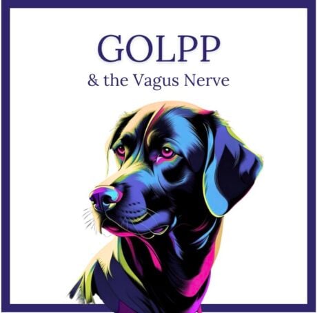 GOLPP and the Vagus Nerve