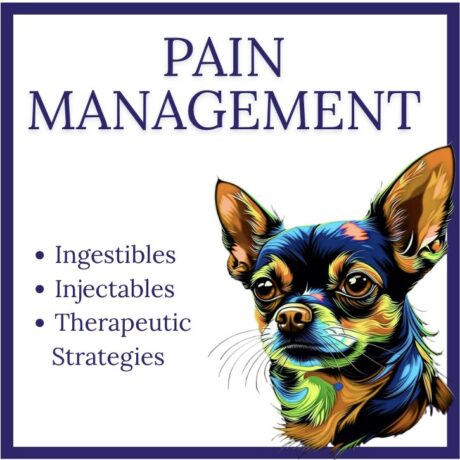 Pain Management in Rehab: Injectables, Ingestibles, Therapeutic Strategies
