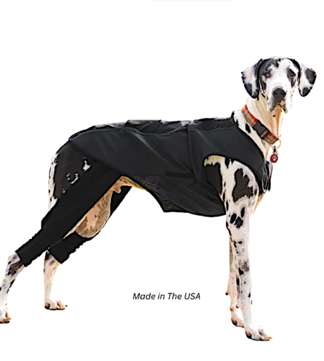 DYNAMIC DOG: bracing body garment to help stabilize hips and improve mobility
