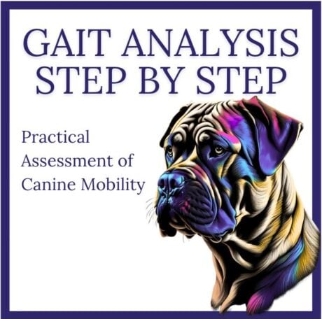 Step by Step: Practical Assessment of Canine Mobility