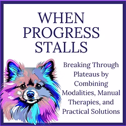 When Progress Stalls: Breaking Through Plateaus